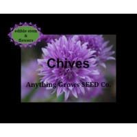 Herb - Chives - Organic